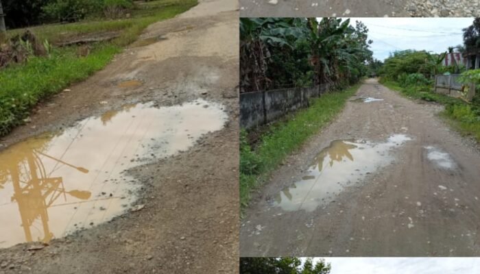 Warga Desa Bukit Langkap Keluhkan Jalan Rusak, Harapkan Perbaikan Segera
